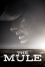 The Mule